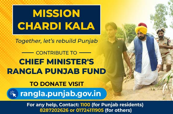 Rangla Punjab